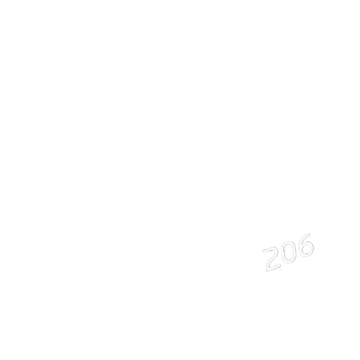 House 206